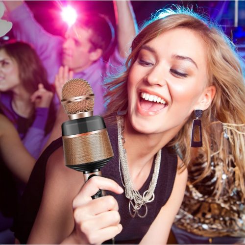 Mikrofon Karaoke Premium - obrazek 5