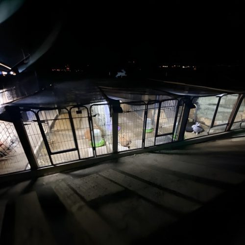 Lamp Solarna LED Czujnik Ruchu i Zmierzchu + Pilot - obrazek 4