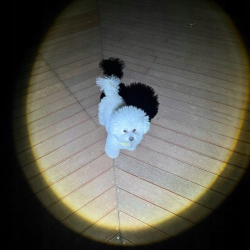 Mocna Latarka Taktyczna LED XHP90 ZOOM Survivalowa - obrazek 4